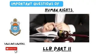 Important Questions of Human Rights |LLB Part 2 |Punjab University