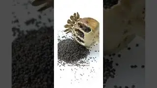 DRAVYA | Ahiphena | Ayur_blend
