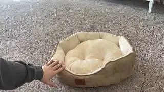 Bedsure Small Dog Bed for Small Dogs Washable   Round Cat Beds for Indoor Cats, Round Pet Bed for Pu