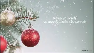 Buone Feste - Condoroil Group