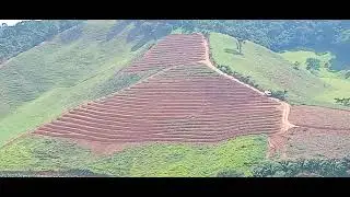 Tomada de decisão no plantio de Café 2026#cafe#caminhaopipa#topchow