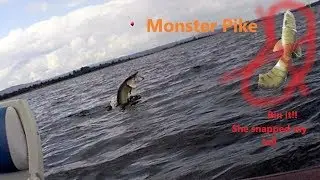 WARNING: Monster Pike
