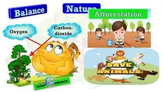 Food chain &  Causes of Imbalance in Nature