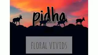 FLORAL VIVIDS- 'Pidha'
