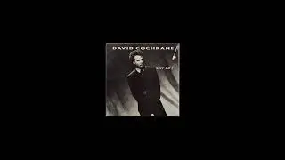 David Cochrane - Why Do I
