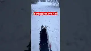 Come on a snowride wm #snow#fun#galop#landscape