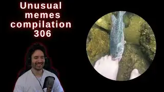 NymN reacts to UNUSUAL MEMES COMPILATION V306