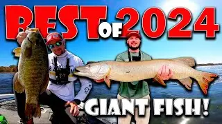 The BIGGEST bass and fish CAUGHT on camera in 2024! Best Moments!