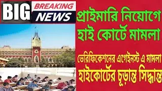 primary teachers recruitment news update, high court primary case update, high court order, primary