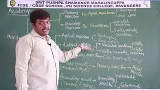 Top-Rated Residential PU Science College in Davanagere 02  Anatomy of Flowering Plants