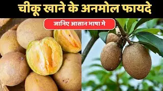 Chiku Khane Ke Fayde | Chiku Fruit Benefits | Amazing Health Benefits of Sapodilla
