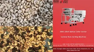 AMD Sortex(LMS4) Nut Dry Fruits Color Sorter Machine Price for Cashew Nuts Kernel Sorting