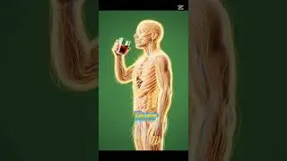 Whiskey Effects on Body | Doctor Explains in 30 Seconds