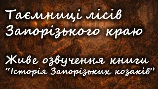 Історія запорізьких козаків | Д. Яворницький | Т.1, глава 2, ч.2 | аудіокнига українською