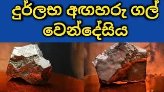 Mars Stone Auction 2025 USA in Sinhala | මාර්ස් ග්&zwj;රහලෝකයේ ගලක් අලෙවියට