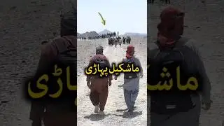 iran ki danki #iran #dunki #iranturkey