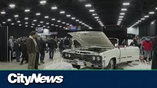 World of Wheels Returns to Winnipeg in 2023