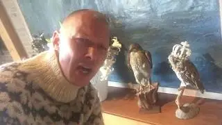 Ravnsborg viking castle tour