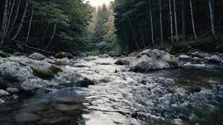 Soothing River Water Sounds 🌿 ASMR for Anxiety Relief, Focus & Deep Relaxation