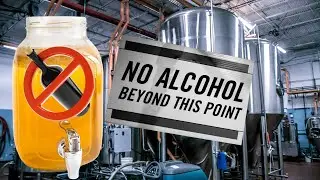 The Shocking Reason KOMBUCHA Brewers Spend Millions