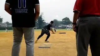 BULLDOGS VS WOLVES