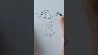 How to draw beautiful and easy bird with x