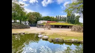 Artis: A Day in the Royal Zoo of Amsterdam | Happy, Well-Fed Animals