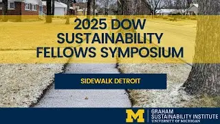 Sidewalk Detroit Project