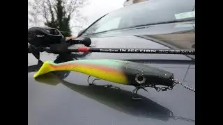 Abu Garcia Revo Toro Beast 2 and Tenryu Injection 66 XH with Pig Shad 23 90 gr Spotted BullHead