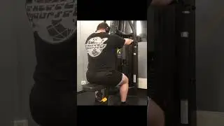 Rear Delt Flies