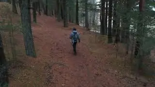 Dji Spark. Active Track. Obstacle avoidance.