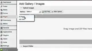How to Use NextGen Gallery Plugin in Wordpress