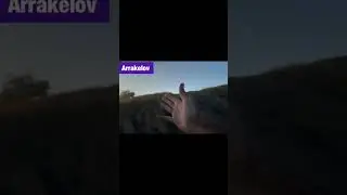 Все происходит на твич канале :Arrakelov #irl #automobile #memes #live #clips