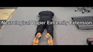Neurodevelopmental Upper Extremity Extension