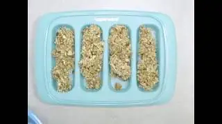Coconut Muesli Bars