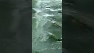 Relaksation sound : Relaxing nature music for sleeping: ripples of flowing water