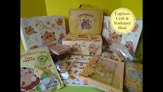 Huge Capybara Stationary & Craft - Temu & Amazon Haul