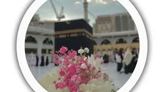 Nath shareef (@mujeebafsha30)