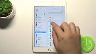 How to Adjust Control Center Shortcuts on iPad mini 4 &ndash; Manage Apps on Top Menu