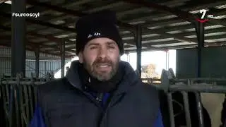Filomena también amenazó al campo de Castilla y León con nieve y muy bajas temperaturas
