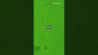 Objects under Microscope 🔬 #microscope #microscopeworld #microscopevideo