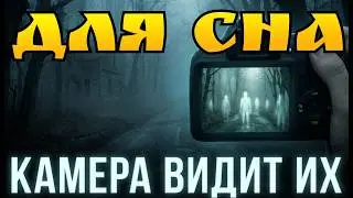 Что скрывает 