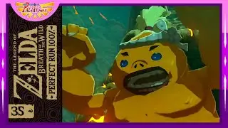 🧗🏻&zwj;♂️ LA RUPE DELLA GRINTA - Zelda BREATH Of The WILD (Master Mode) PERFECT Run 100%