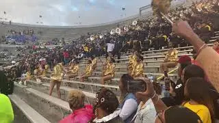 ASU STINGETTES 2019