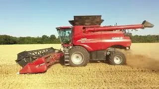 Начало уборки озимой пшеницы  2022 год