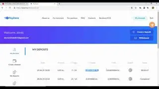PAYZONE  N&Atilde;O INVISTA VIROU SCAN PERCA DE 0.05 LTC