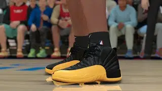 NBA 2K26 Shoe Creator - Air Jordan 12 