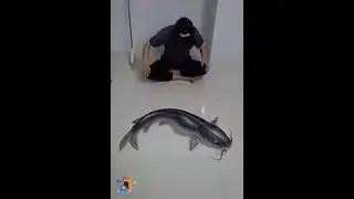 BEST OPTICAL ILLUSIONS THAT WILL BLOW YOUR MIND