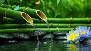 Relaxing Music for Stress and Calm – Piano and Water Harmony for Meditation and Sleep