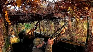 chasse palombe en palombi&egrave;re 3